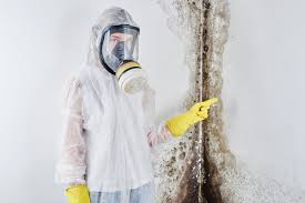 Best Asbestos and Lead Testing During Mold Inspection  in USA